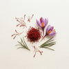 Saffron