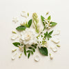 White Florals